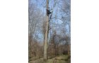 Property photo 124 - REAL ESTATE & PERSONAL PROPERTY AUCTION, 140 Acres offered in 8 Tracts or Combinations in Steuben County